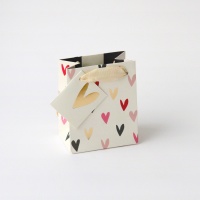 Scattered Heart Petite Gift Bag Caroline Gardner